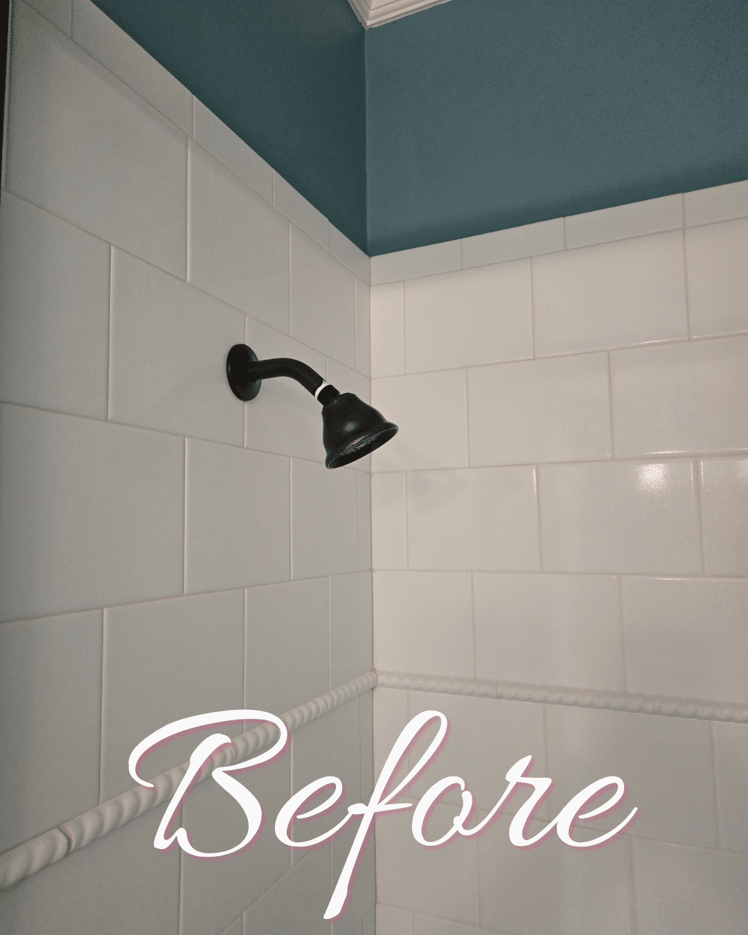 Shower head before replacement by Autism Plumber