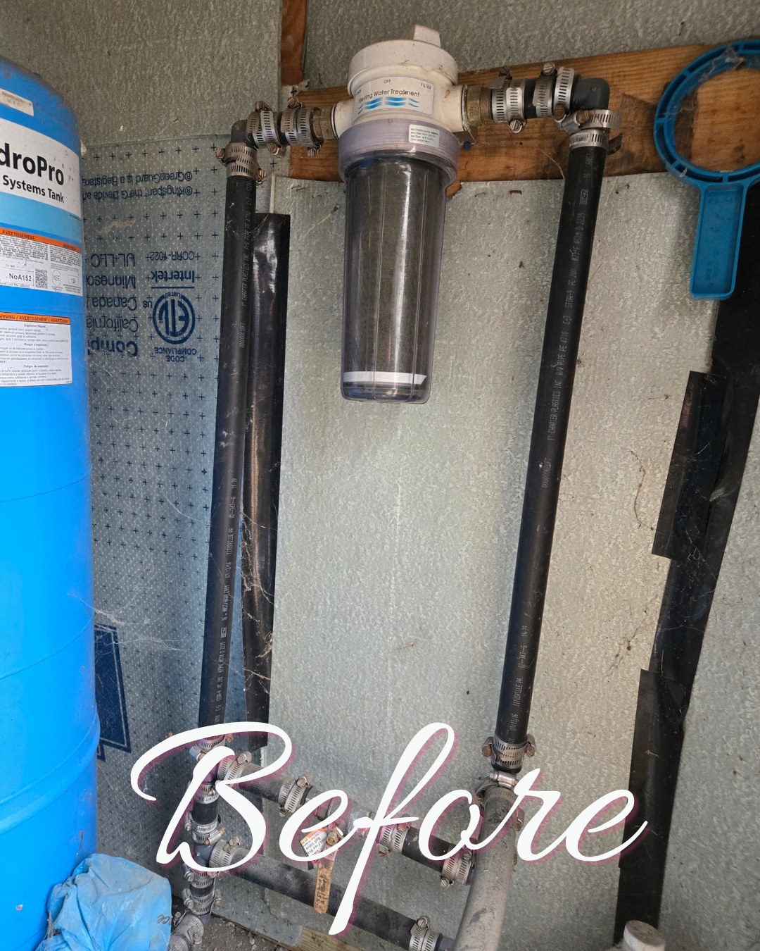 Shower head before replacement by Autism Plumber