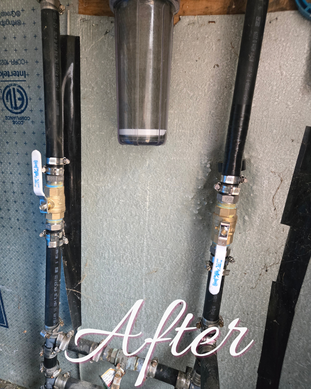 Shower head before replacement by Autism Plumber